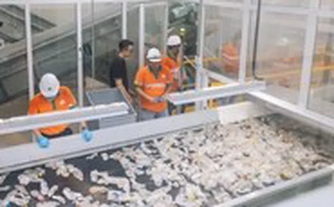 ‘Hành trình ngược’ của vỏ bao bì