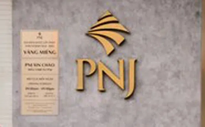 PNJ muốn chào bán riêng lẻ tối đa 550 triệu cổ phiếu