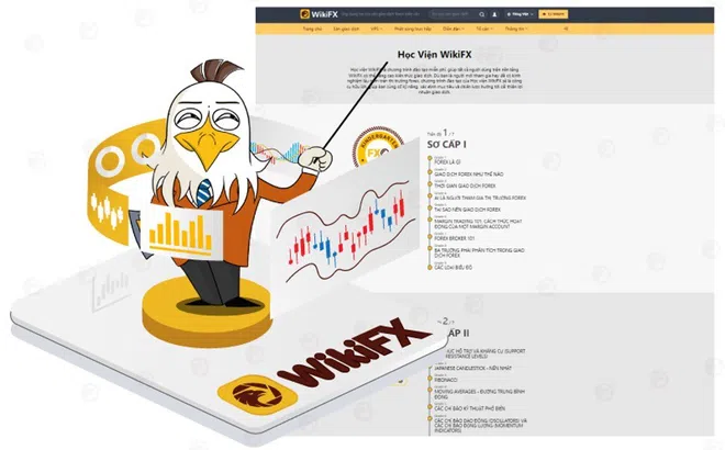 Học viện WikiFX là gì? Cách sử dụng hiệu quả để nâng cao kiến thức và kỹ năng giao dịch Forex