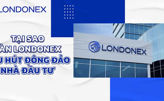 Londonex - Sàn Giao Dịch Đang Được Quan Tâm Số 1 Tại Việt Nam